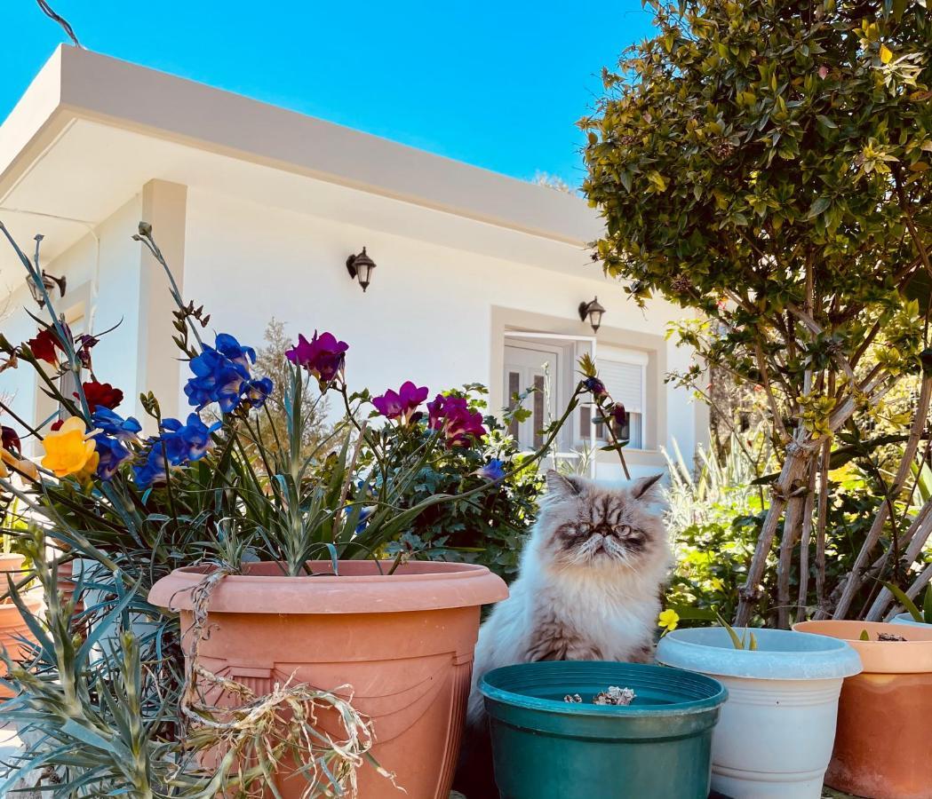 Archangelos Garden House Exterior photo