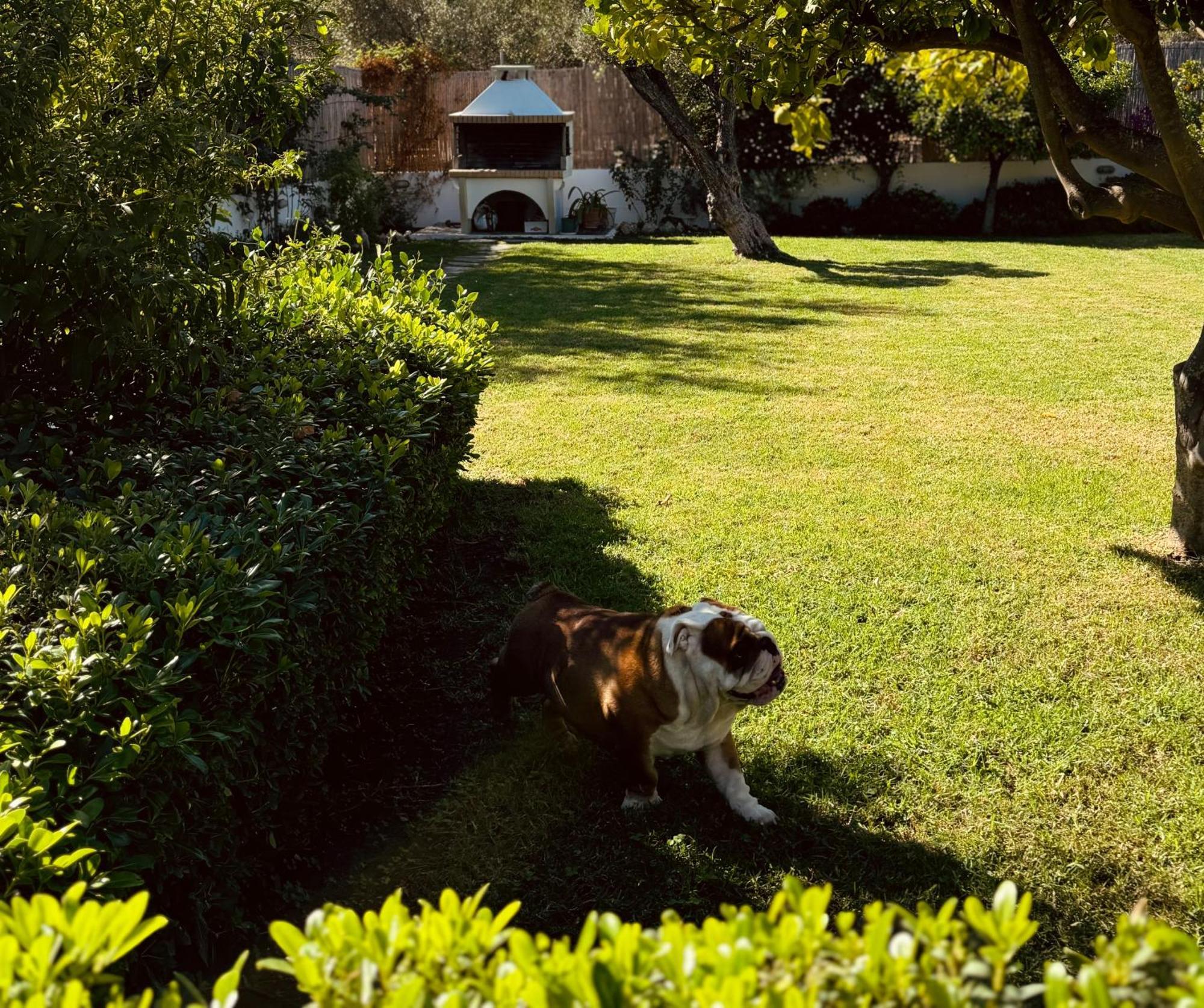 Archangelos Garden House Exterior photo